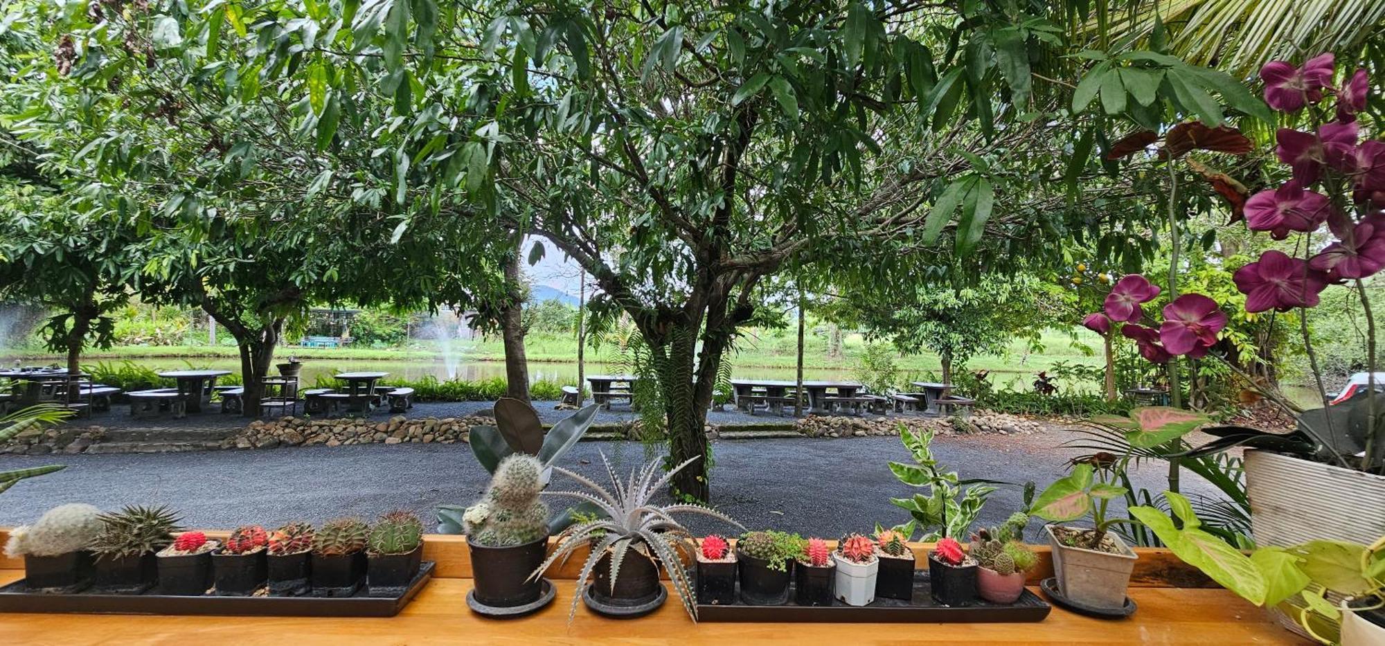 Homdoiintr Farmstay ฮ่อมดอยอินทร์ ฟาร์มสเตย์ Ban Huai Kaeo Zewnętrze zdjęcie