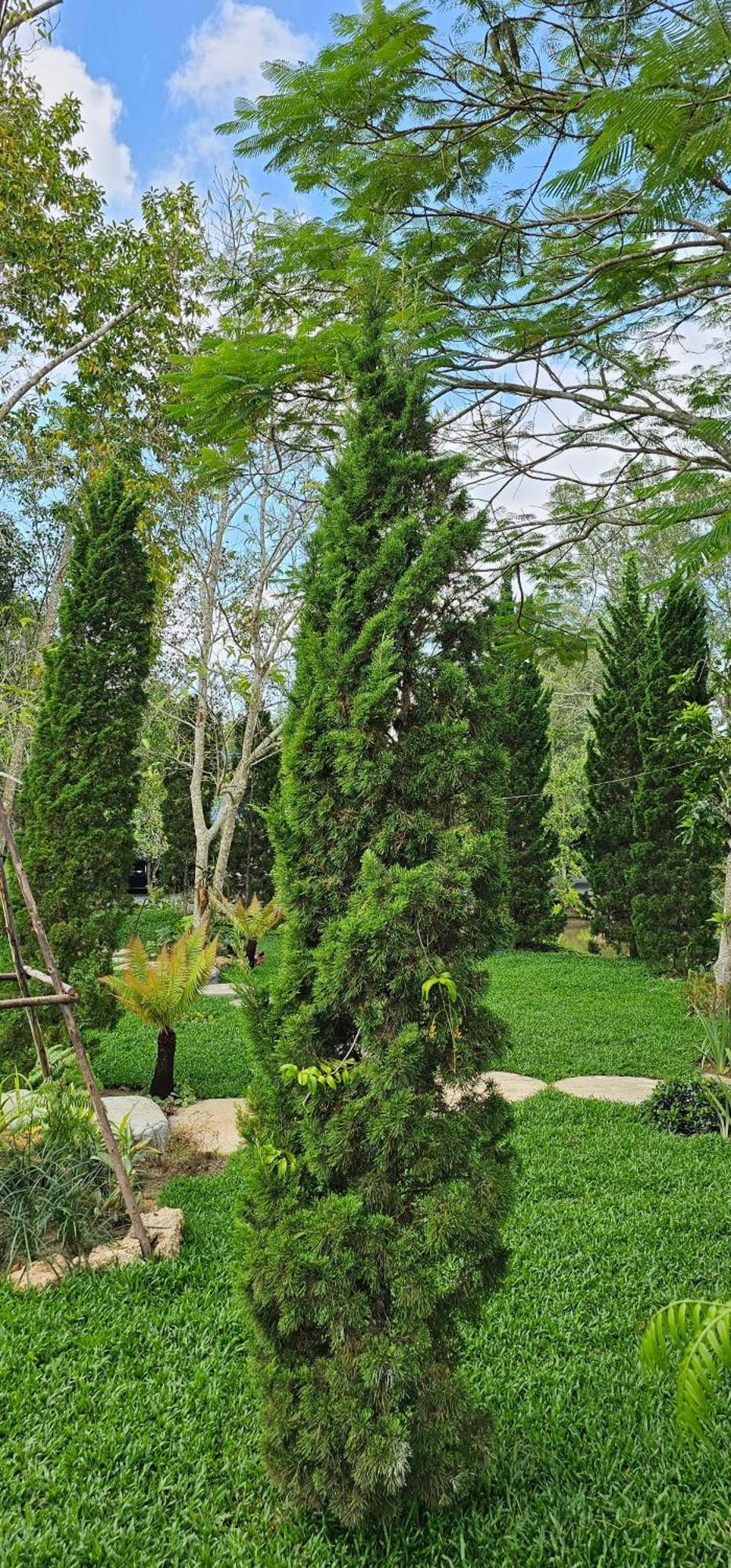 Homdoiintr Farmstay ฮ่อมดอยอินทร์ ฟาร์มสเตย์ Ban Huai Kaeo Zewnętrze zdjęcie
