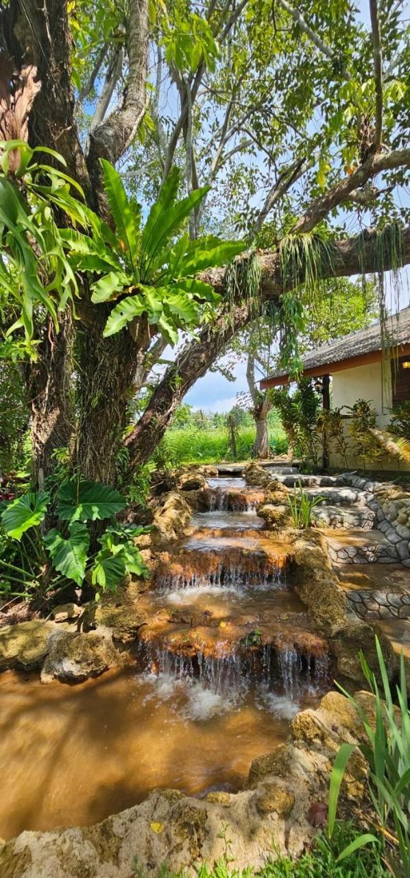 Homdoiintr Farmstay ฮ่อมดอยอินทร์ ฟาร์มสเตย์ Ban Huai Kaeo Zewnętrze zdjęcie